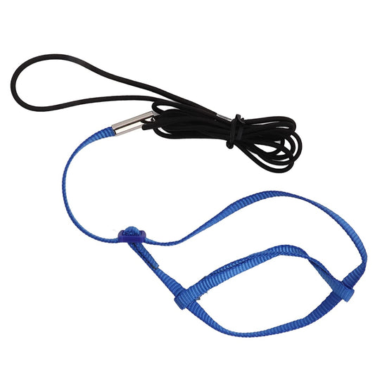 Harness With Leash - Designed for Medium & Small Birds