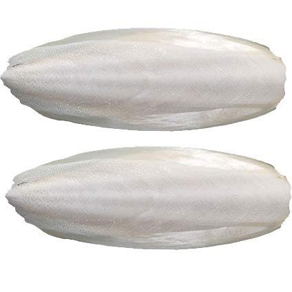 Cuttlefish Bone Mineral Stone White (Large Size)