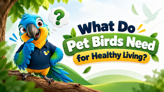 What Do pet Birds Need For Healthy Living ?