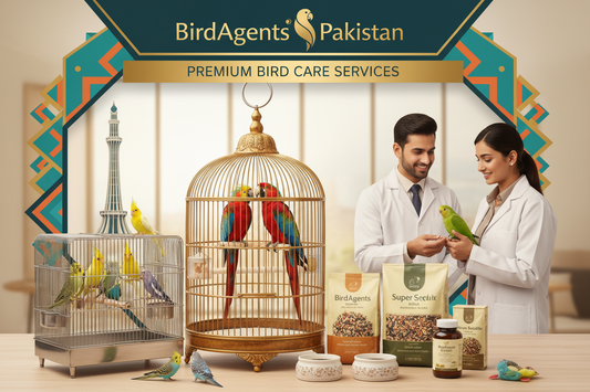Discover Top-Quality Bird Care in Pakistan with BirdAgents!