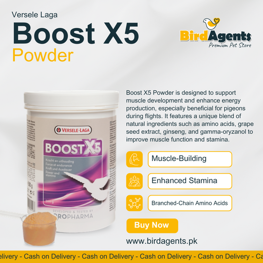 Boost X5 Powder - Enhance Energy Production in Pigeons