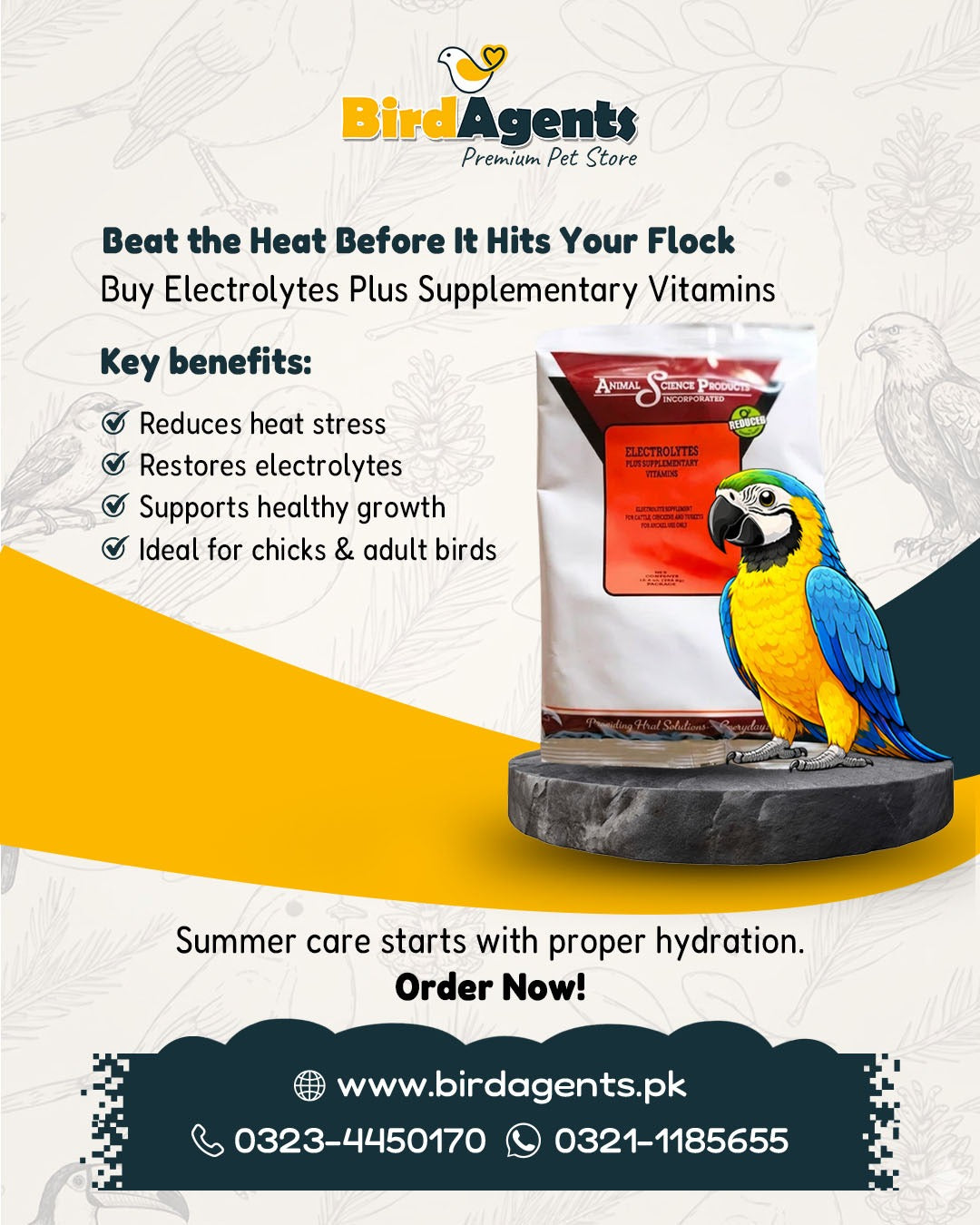 Electrolytes Plus Supplementary Vitamin (USA)