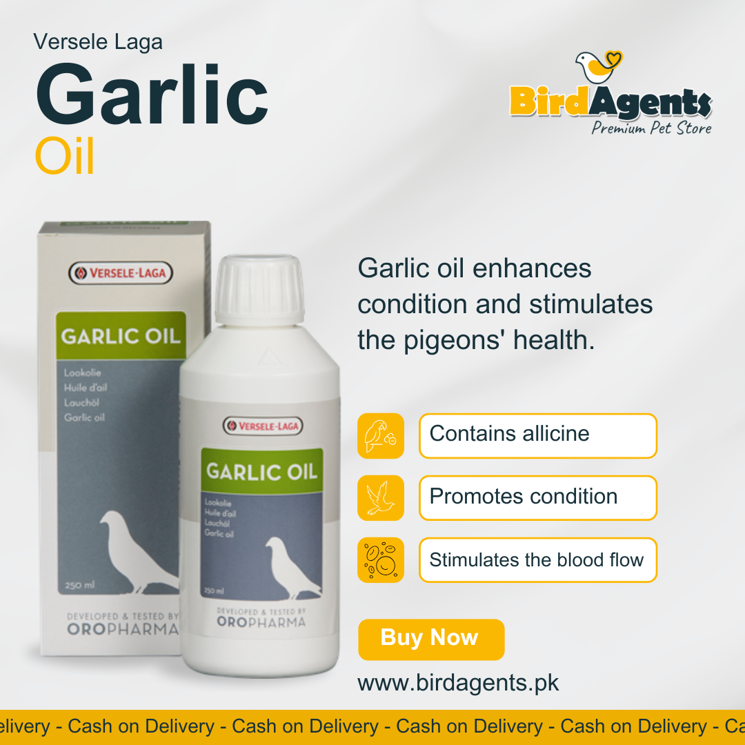 Garlic Oil - Enhances Condition & stimulates the pigeons Health