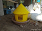 Multi Purpose Feeder For Pigeons and Hens