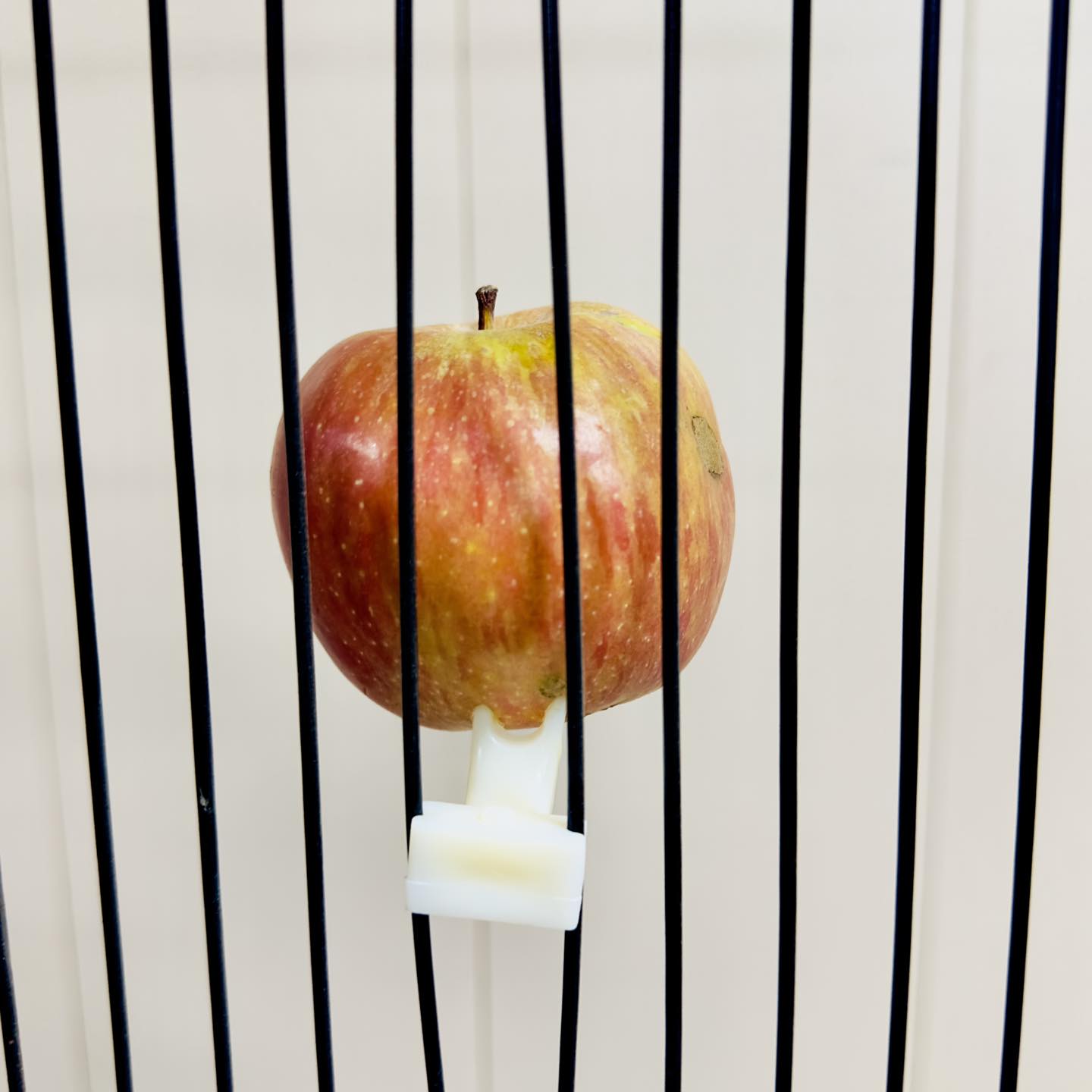 Fruit Fork - Holds Fruits and Vegetables Securely