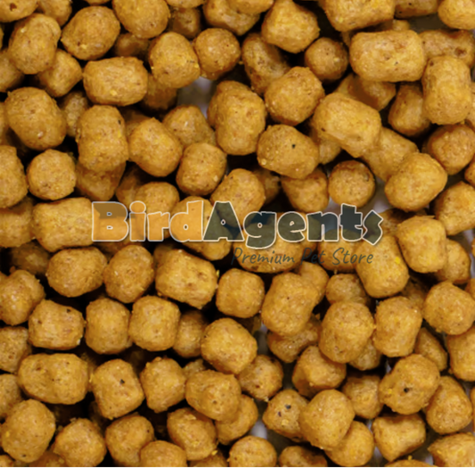 Psittacus Parrot Breeder Pellets - for Medium & Large Birds