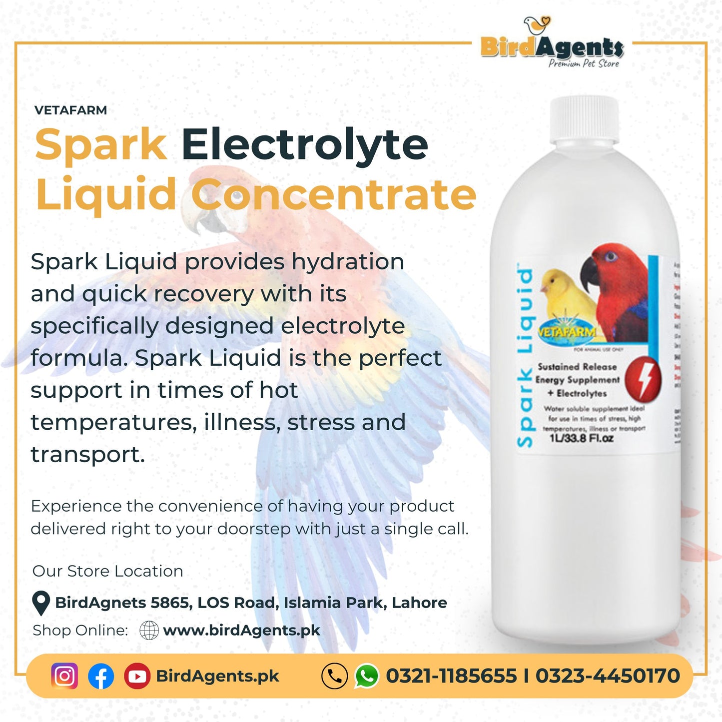 Spark Electrolyte - Sustained Released Energy Supplement