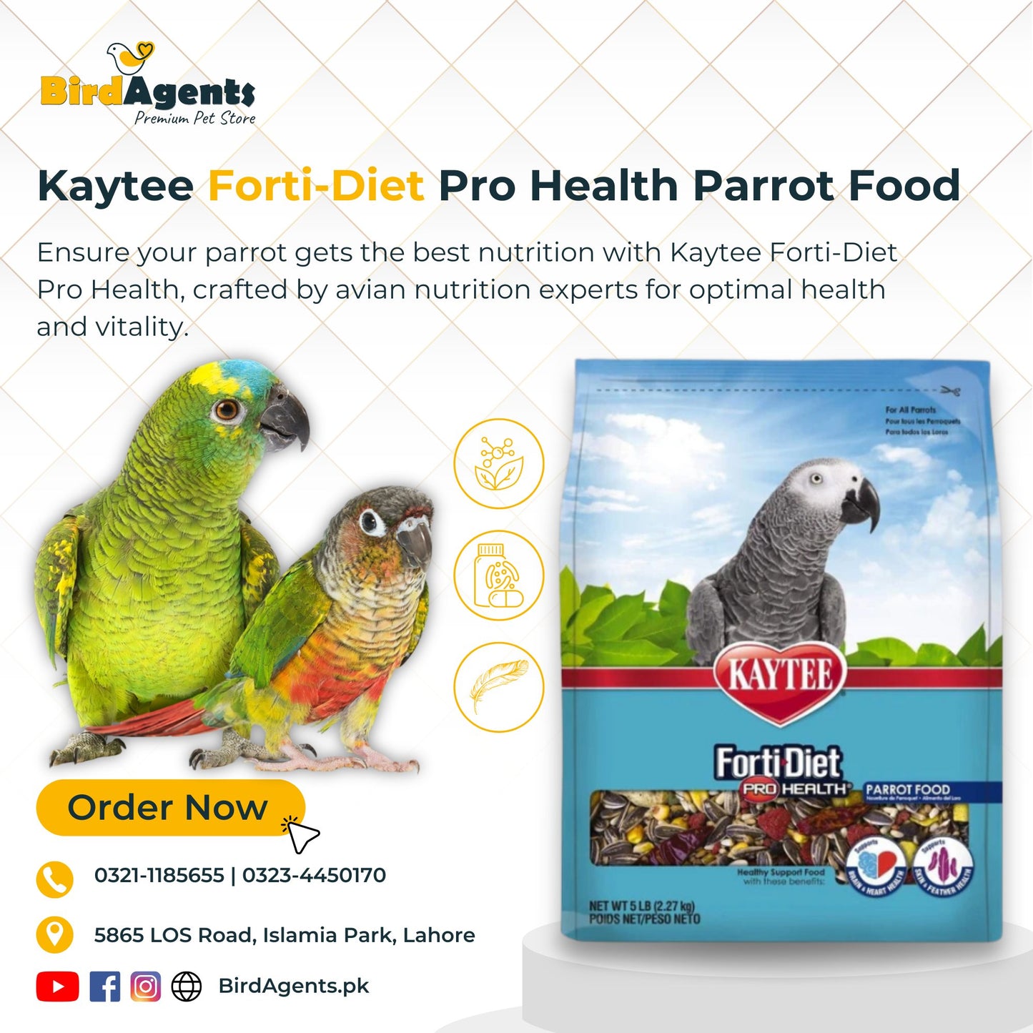 Kaytee Forti Diet Pro Health Parrot Food