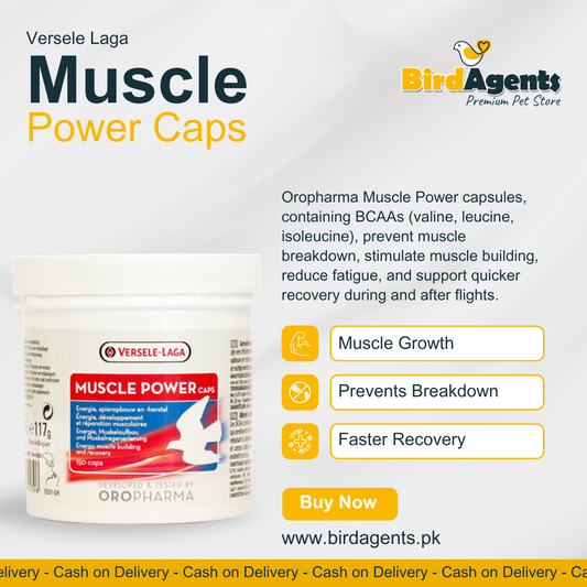 Muscle Power Caps - Performance & Recovery of Pigeons