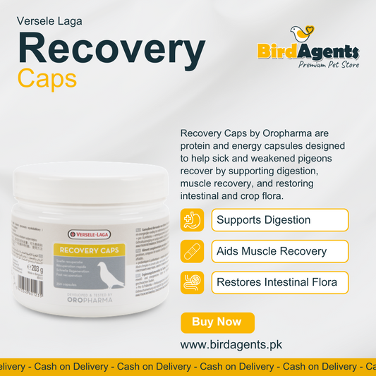 Recovery Caps - For Recovery and Health Maintenance