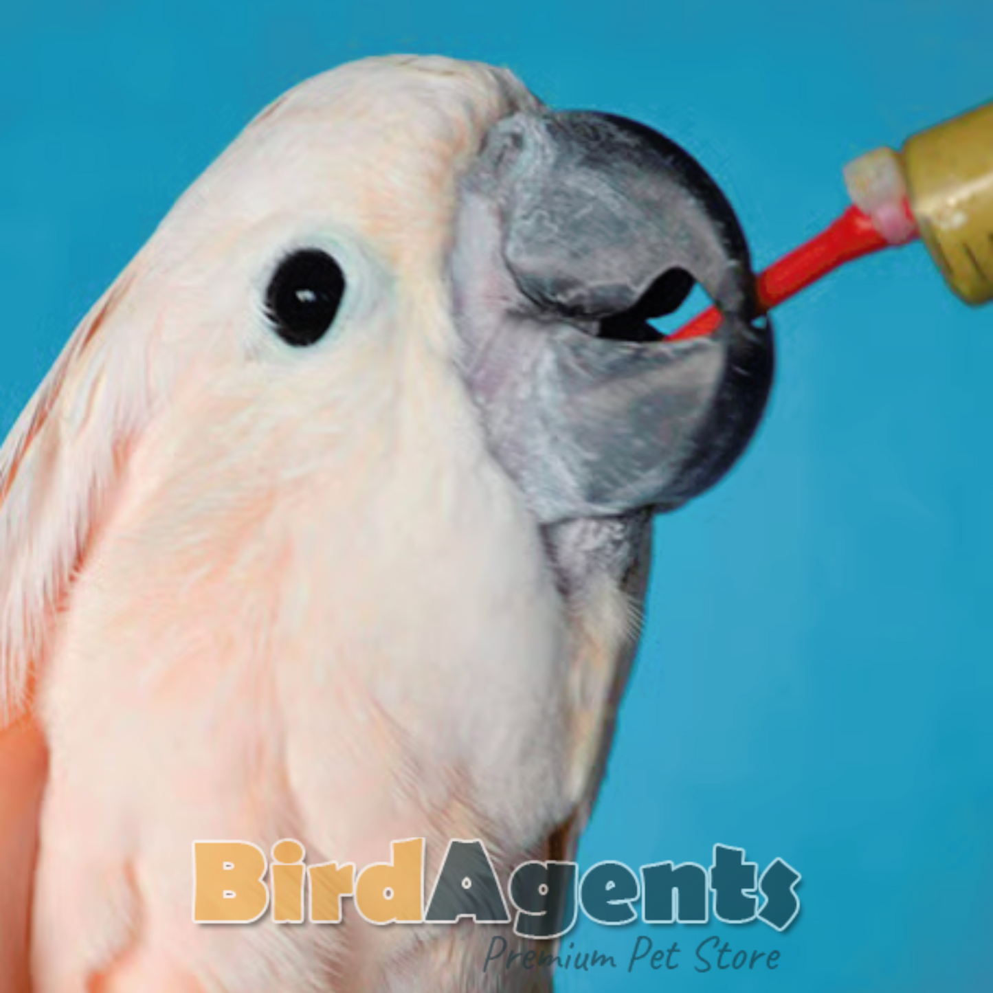 Psittacus Cockatoo Special - Hand Feeding Formula