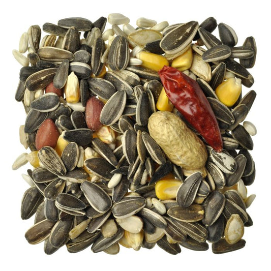 Big Bird Special Seed Mix - Bio-Security Treated Seeds