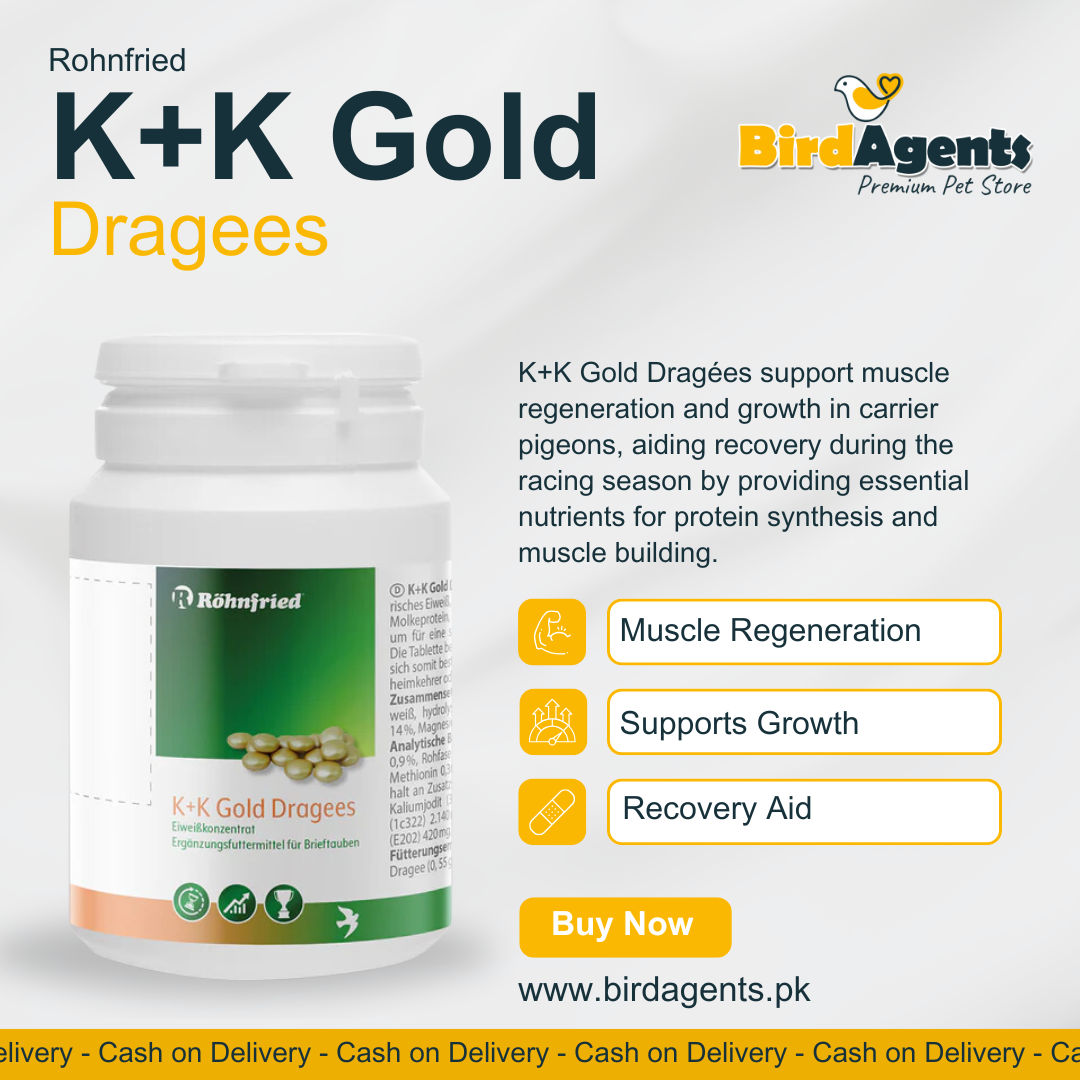 K+K Gold Dragees - Support Muscle Regeneration & Growth