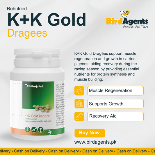 K+K Gold Dragees - Support Muscle Regeneration & Growth