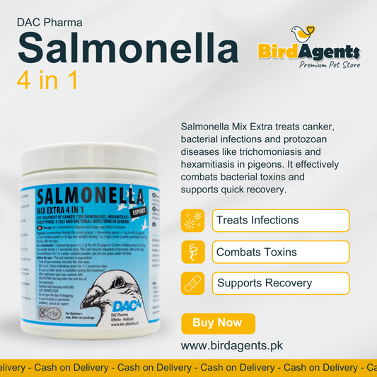 Salmonella 4 in 1 - Treatment of Bacterial infections