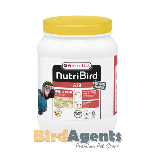 NutriBird A19 Hand Feeding Formula