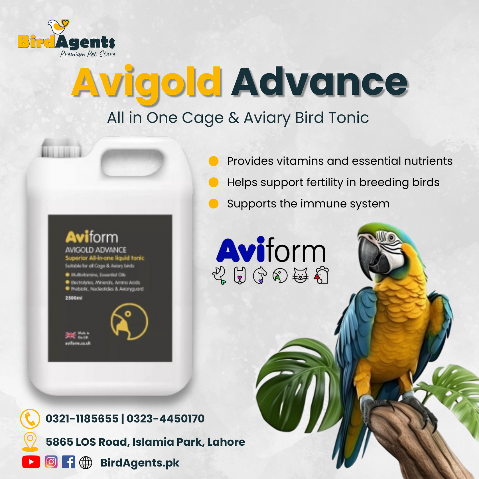 Avigold Advance - All in One Cage & Aviary Bird Tonic – BirdAgents.pk