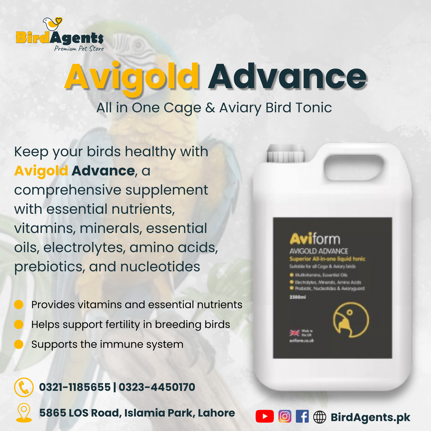 Avigold Advance - All in One Cage & Aviary Bird Tonic