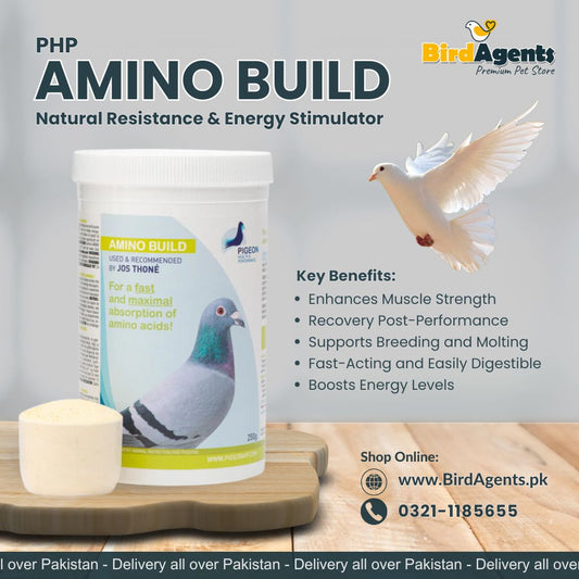 PHP Amino Build - Muscle Building Amino Acids