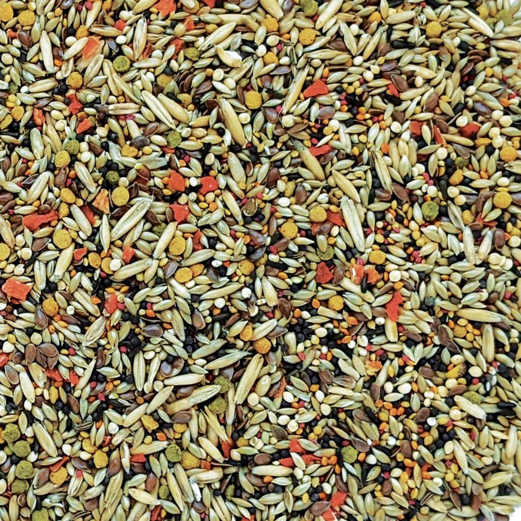 Hagen Gourmet Canary - Premium Seed Blend for Canaries