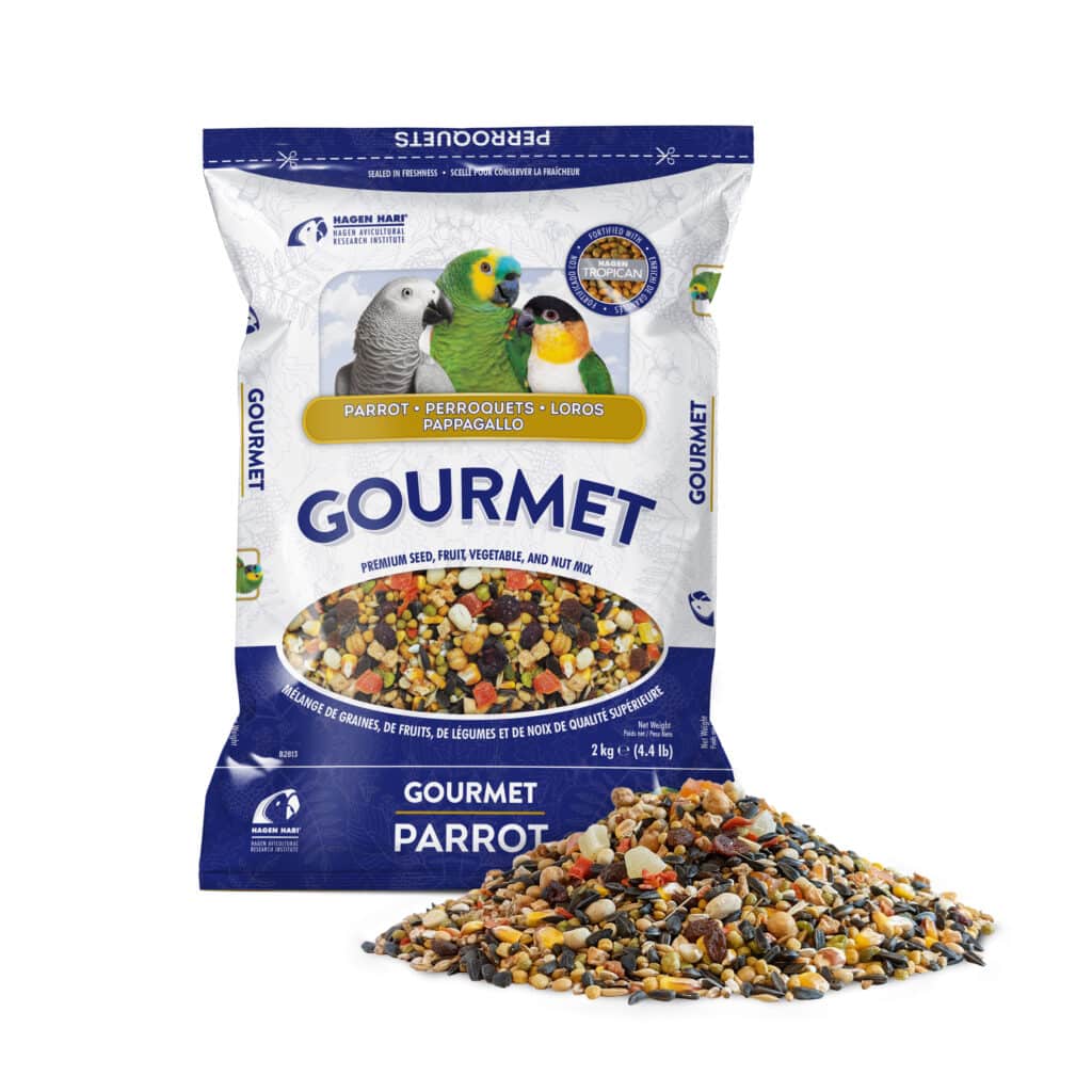 Hagen Gourmet Parrot - Premium Seed Blend for Parrots