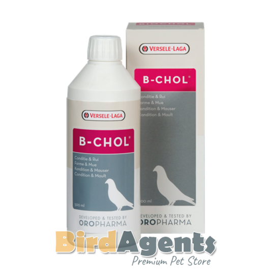 B Chol – Moulting, Liver & Digestive Support for Pigeons