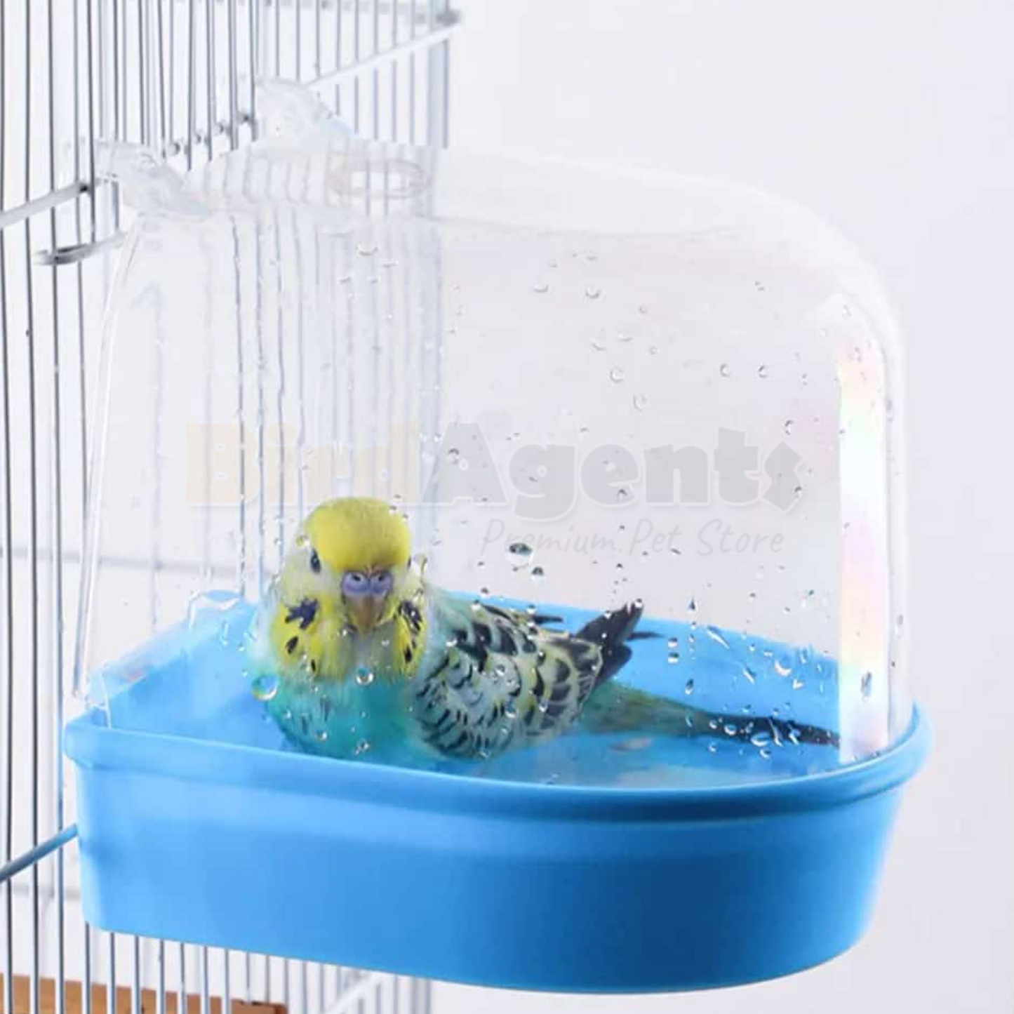 Bird Bath Tub - Provide Essential Care & Fun for Birds