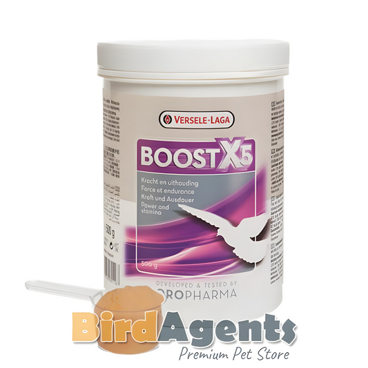 Boost X5 Powder - Enhance Energy Production in Pigeons