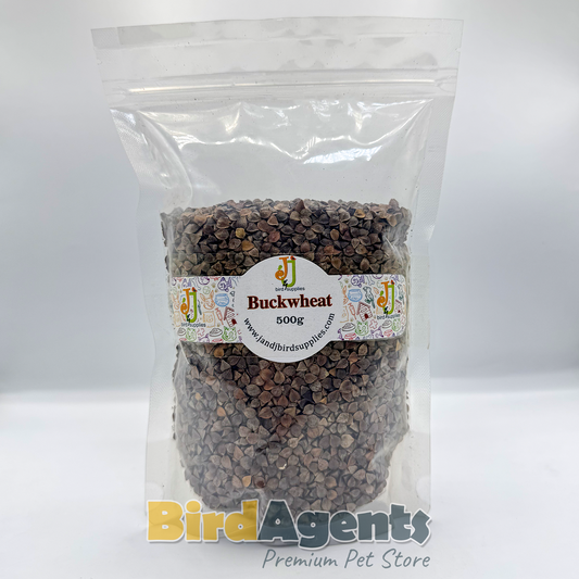 Buckwheat – High-Protein Natural Feed for Birds