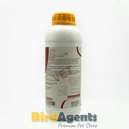 Enroflox-C62 Liquid – Broad-Spectrum Antibiotic