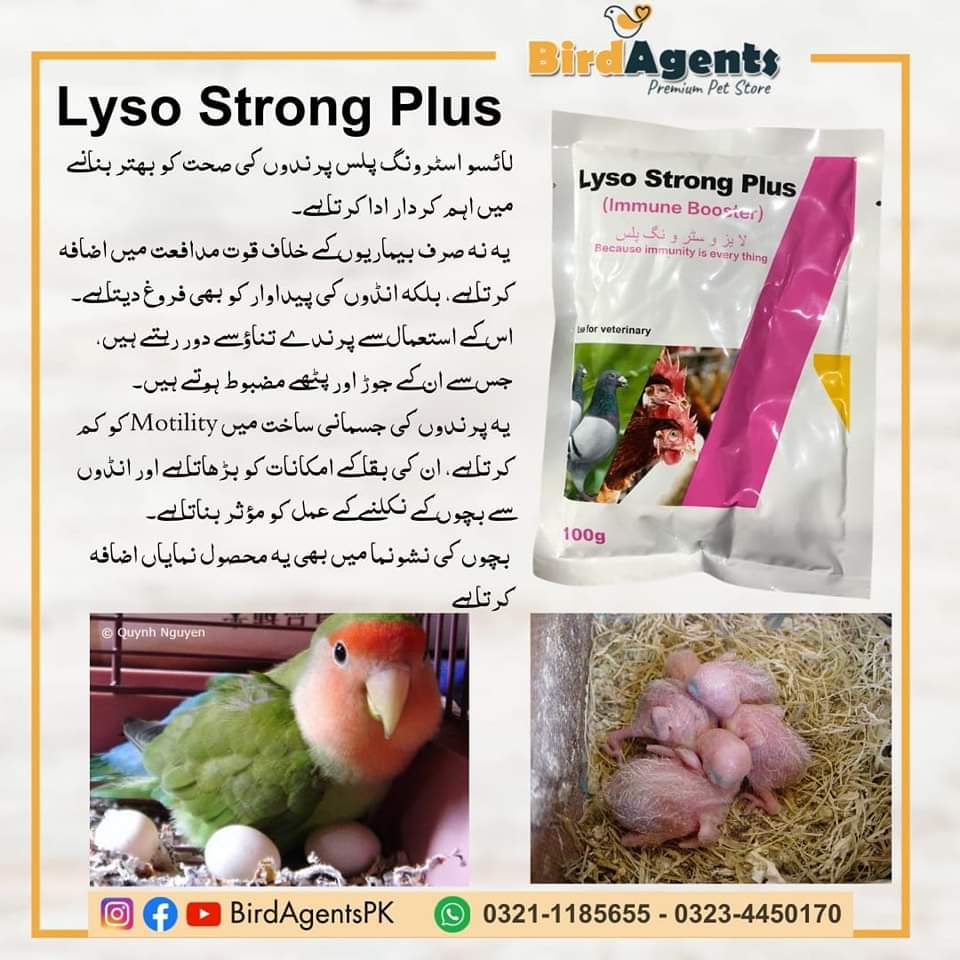 Liso Strong Plus Biotin - Immune Booster – BirdAgents.pk