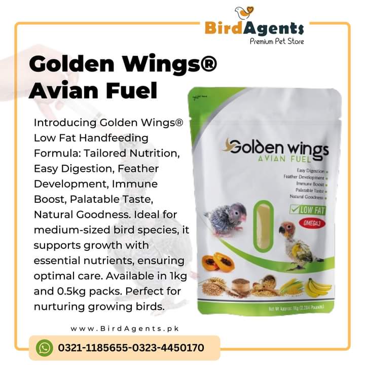 Golden Wings Hight Protien - Hand Feeding Formula