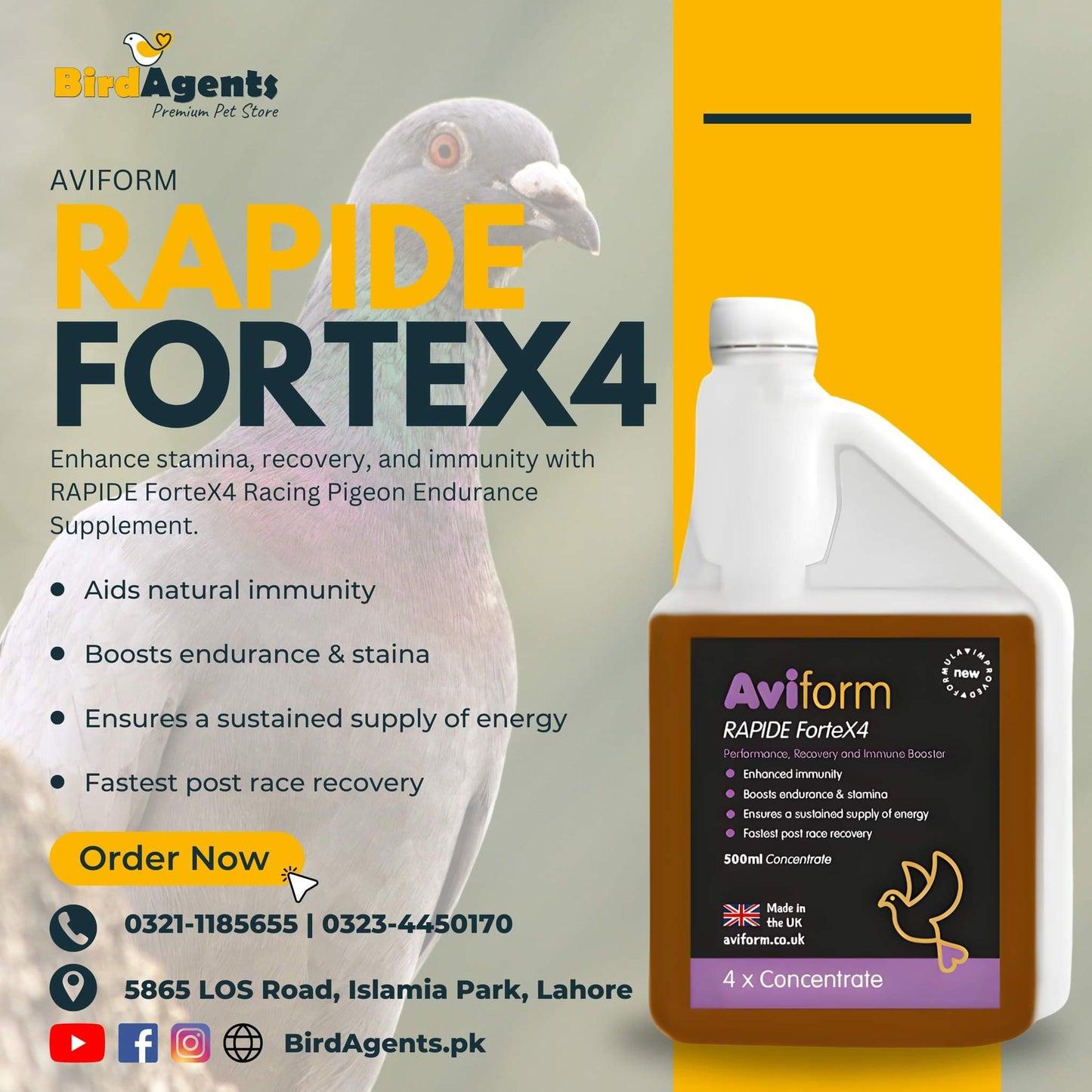 RAPIDE ForteX4 - Stamina, Endurance & Immunity Supplement for Pigeons