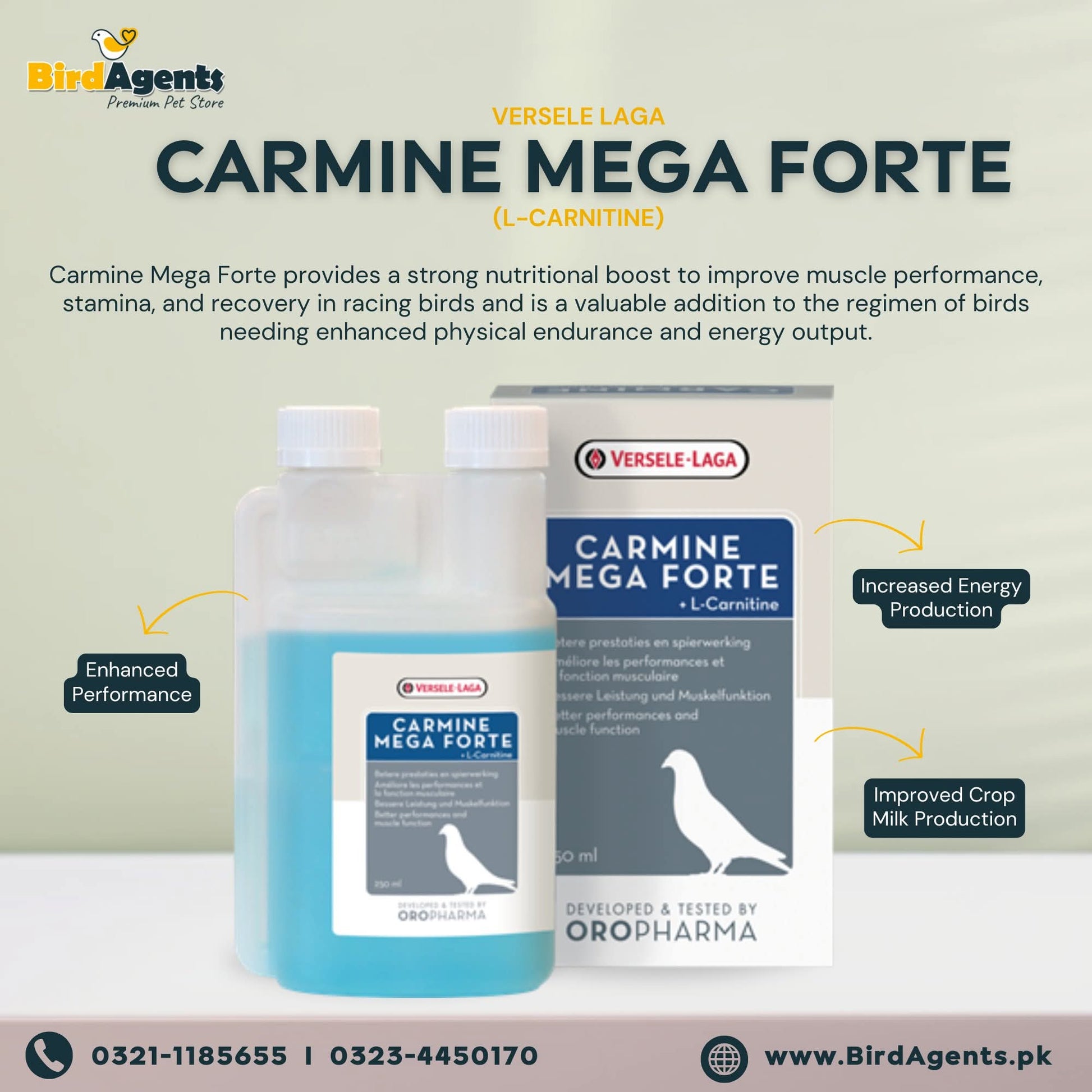 l carnitine bird Black nutrition Available flavours Green mango Sweet orange High Quality L Carmine Mega Forte - L-Carnitine