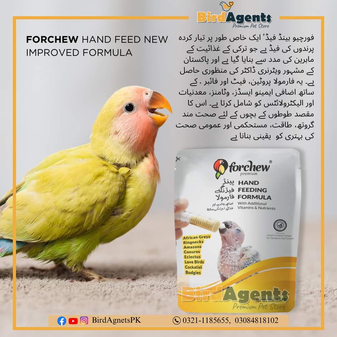 For Chew High Protein -  Hand Feeding Formula