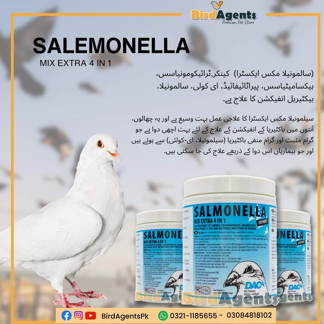 Salmonella 4 in 1 - Treatment of Bacterial infections