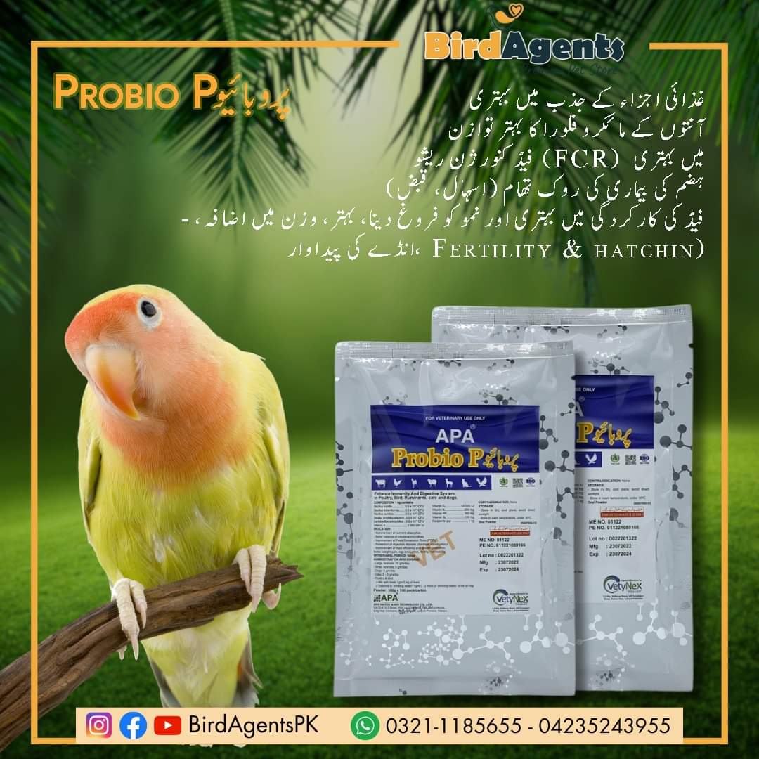 Probio P - Enhance Immunity & Digestive System