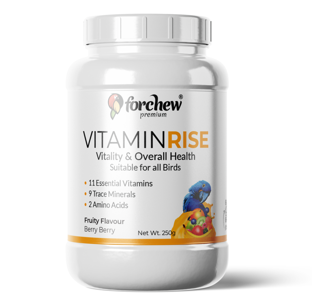 Vitamin RISE - Multivitamin Supplement