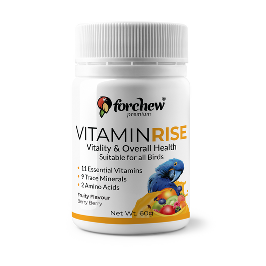 Vitamin RISE - Multivitamin Supplement