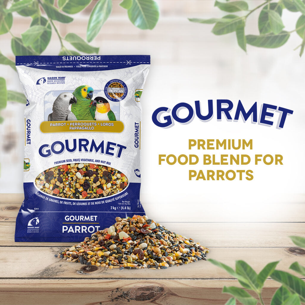 Hagen Gourmet Parrot - Premium Seed Blend for Parrots