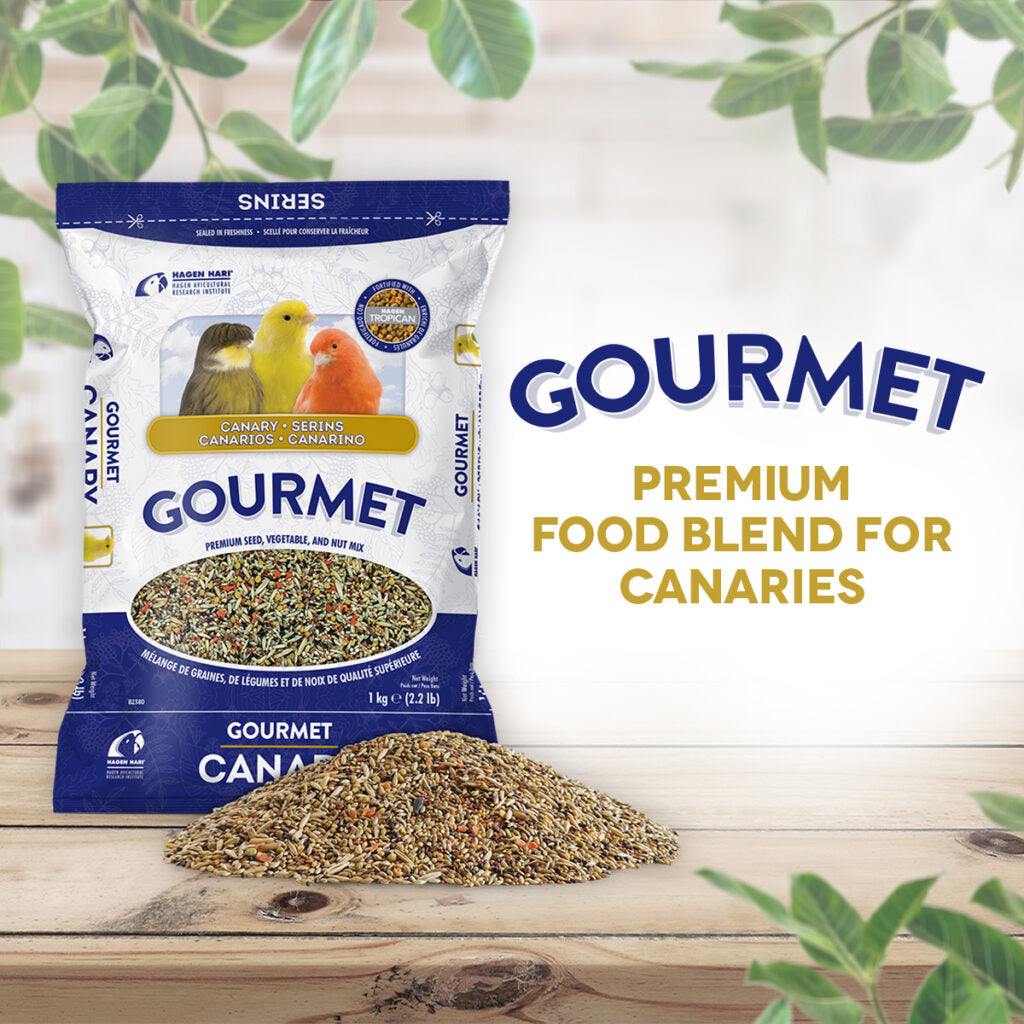 Hagen Gourmet Canary - Premium Seed Blend for Canaries