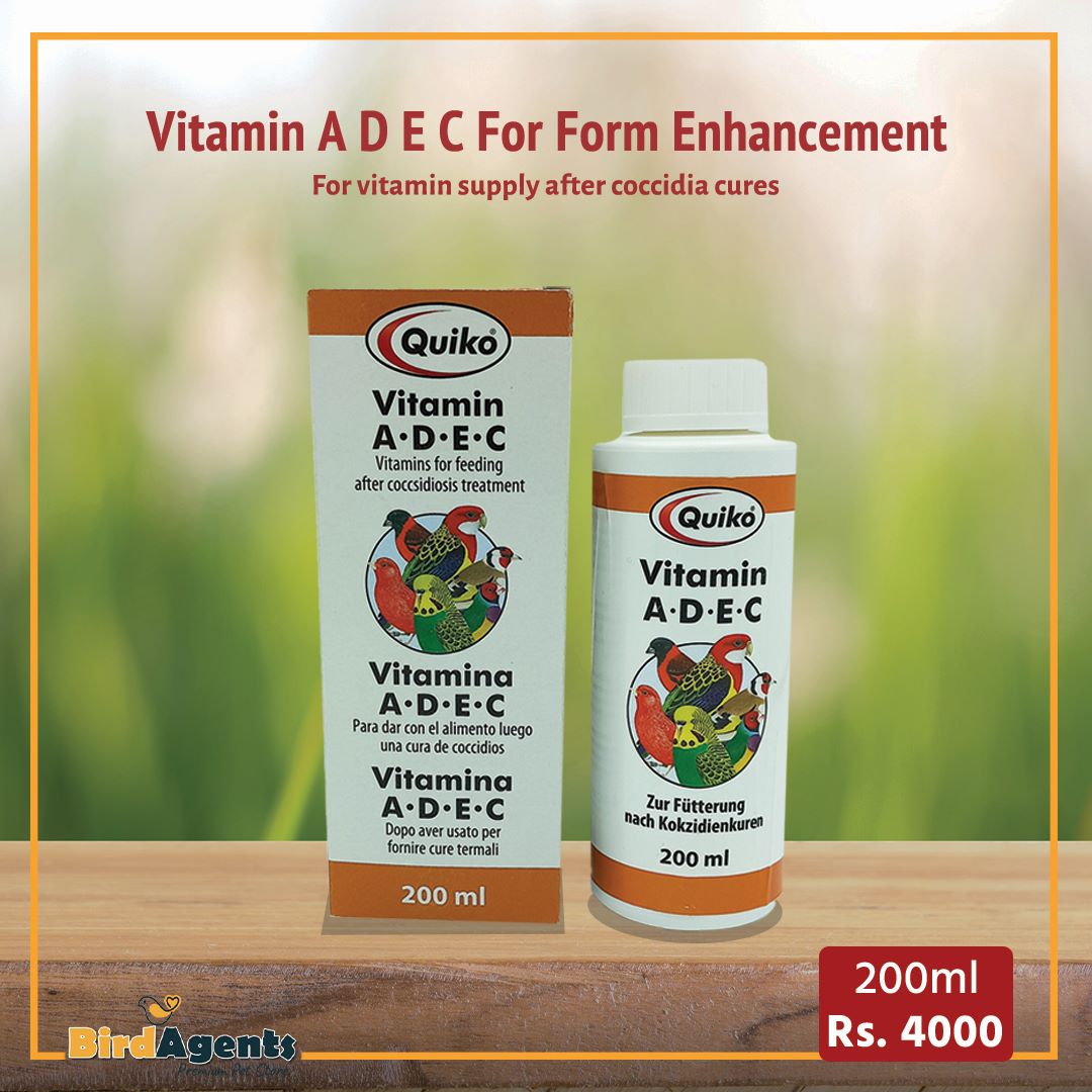 Quiko vitamin ADEC - Vitamin Supply for Cage Birds