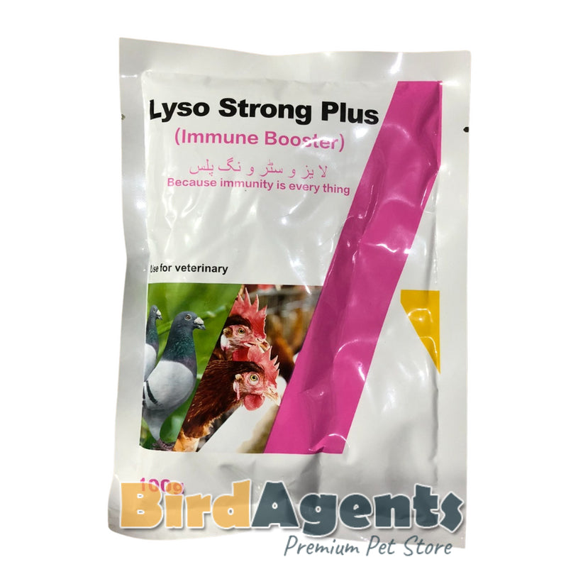 Lyzo Strong Plus - Builds immunity in Birds