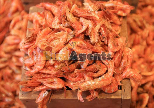 Dried Prawn - Nutritious and Protein Rich Food