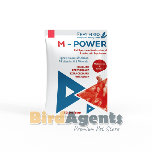 M Power - Multvitamin, Mineral & Amino Acid Supplement