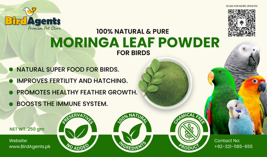 Moringa Leaf Powder - Natural Nutrient Supplement For Birds