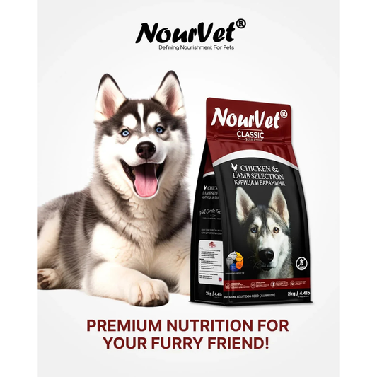 Nourvet Classic Dog Food Chicken & Lamb