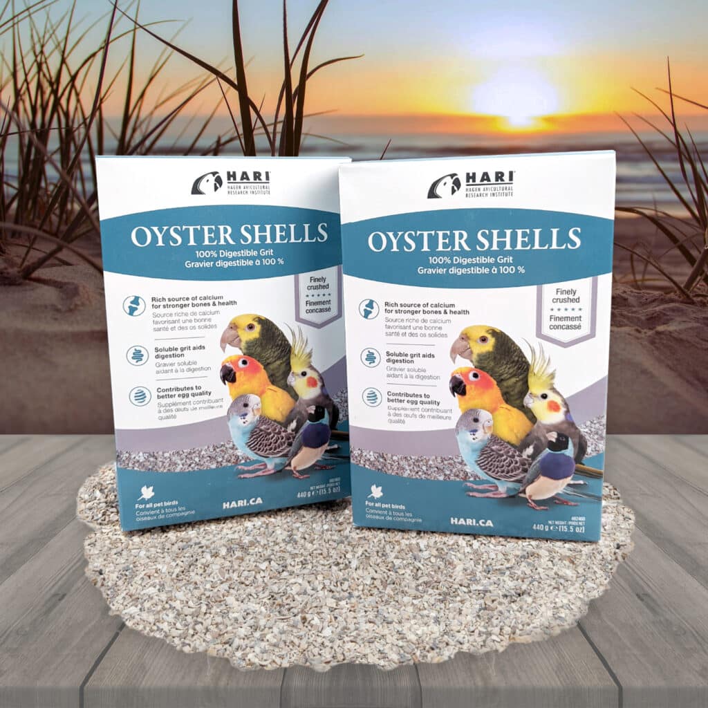 Hagen Oyster Shells - Finely Crushed Soluble Grit For Birds