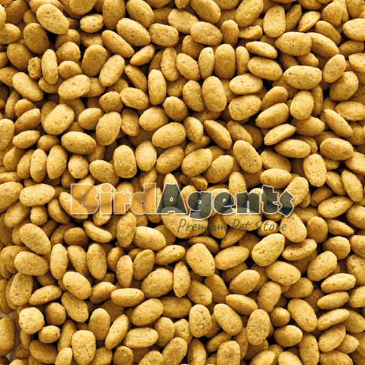 NutriBird P19 Original – Breeding Pellets for Parrots (Monocolour)