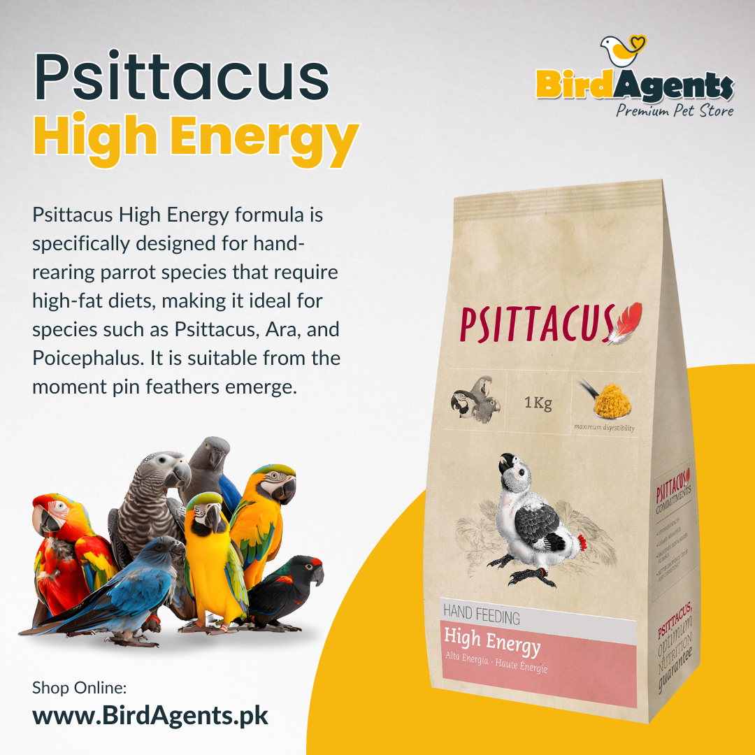 Psittacus High Energy - Hand Feeding Formula